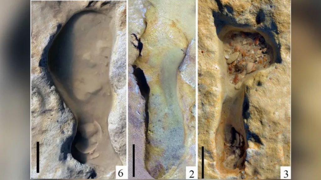 Copii de Neanderthal zburdă pe plajă, acum 100.000 de ani…