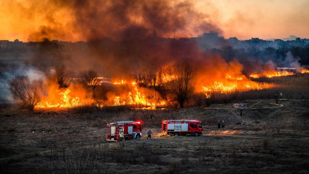 Incendiu de proporții în Deltă. Aproape 5 hectare au ars din temelii