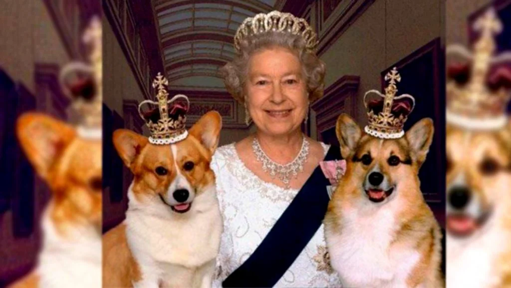 Compania câinilor corgi o ajută pe regina Elisabeta a II-a să depășească mai ușor pierderea prințului Philip