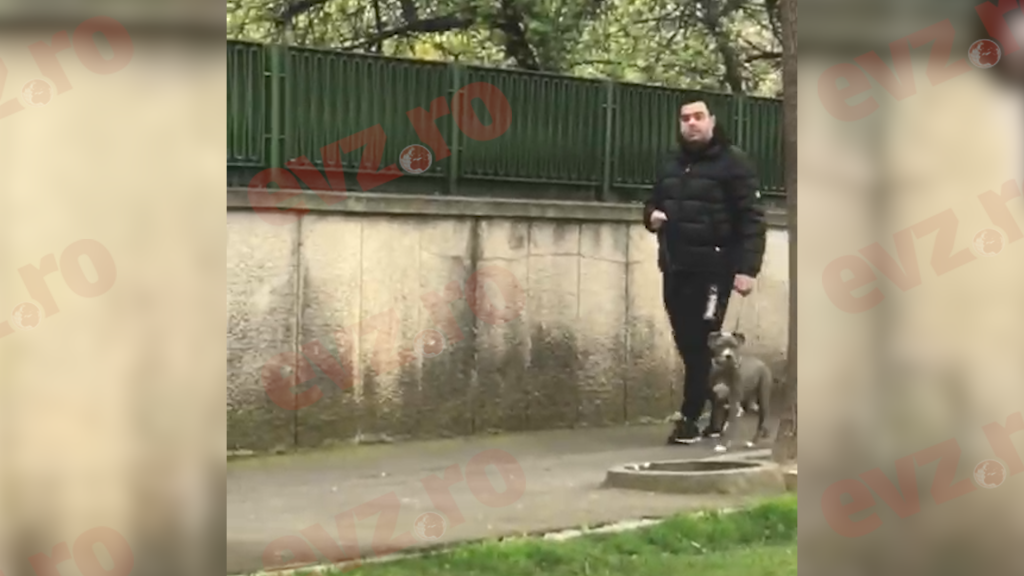Exclusiv. Cuibul lui Răzvan Cuc din Primăverii, fix lângă casa lui Iohannis. Fostul ministru e delegat să plimbe câinele iubitei. Video