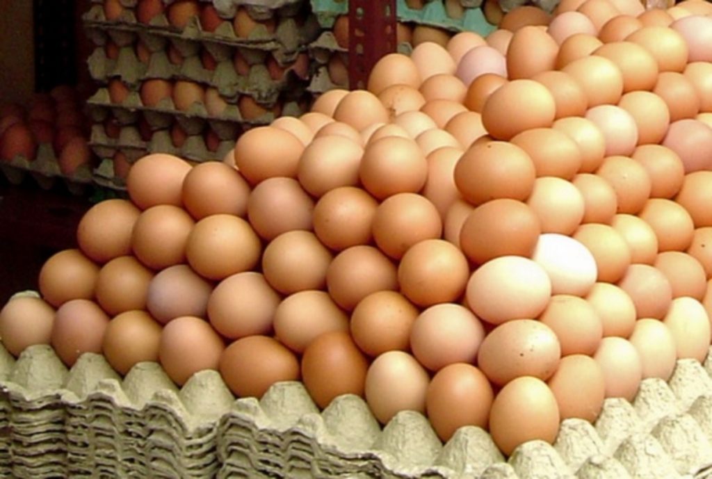 Alertă. Lot de 300.000 de ouă cu Salmonella, depistate şi oprite de la vânzare