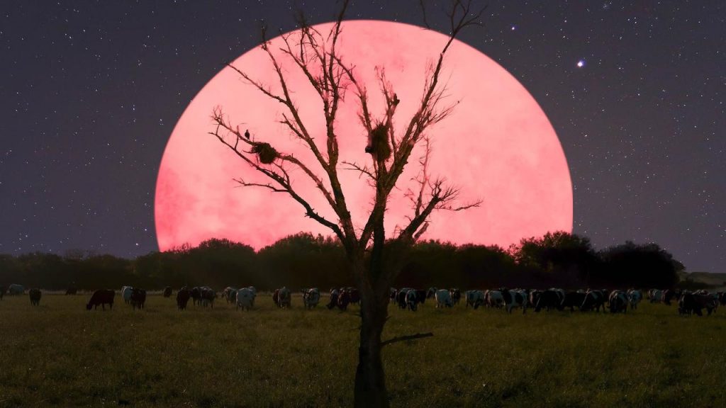 Astăzi va avea loc „Superluna roz”. Unul dintre cele mai rare evenimente astrologice