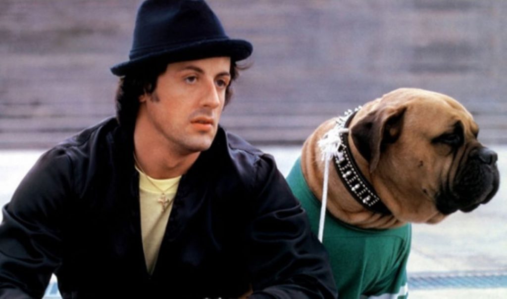 Duioasa poveste de iubire dintre Sylvester Stallone și Butkus