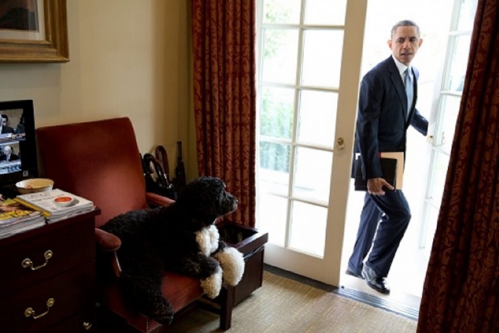 A murit cel mai iubit locatar de la Casa Albă. Obama: „Un  prieten adevărat și un tovarăș loial”. FOTO