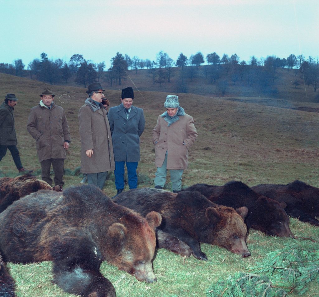 Nicolae Ceaușescu l-a împușcat pe Ursul Lache, ca să bată recordul lui Iosif Broz Tito