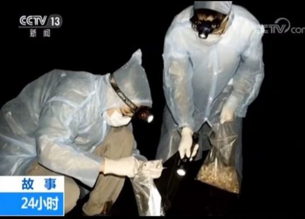 Raportul OMS contrazis de imagini video. 15.000 de lilieci în laboratoarele din Wuhan