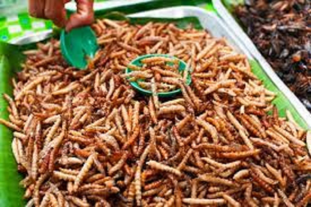 UE vrea să trecem pe insecte comestibile! „Delicatesele” vor putea fi vândute în toate restaurantele și supermarketurile