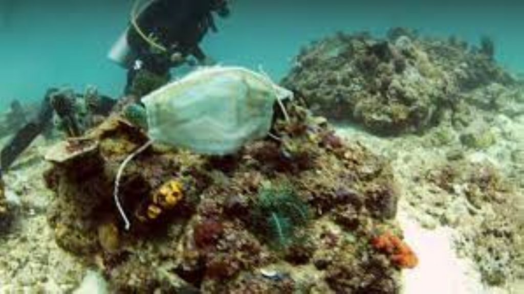 Măștile sanitare ajung în Filipine în recifele de corali. Animalele marine mănâncă plasticul acestora