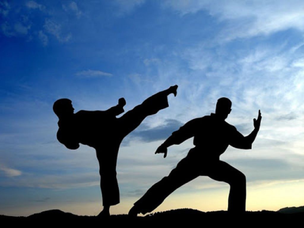 Un român a dat lovitura în artele marțiale. Karate-ul tricolor a dobândit recunoașterea internațională