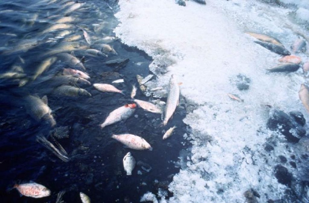 Amendă usturătoare pentru poluarea Bicazului. 5.4 tone de amoniac au fost deversate în apă