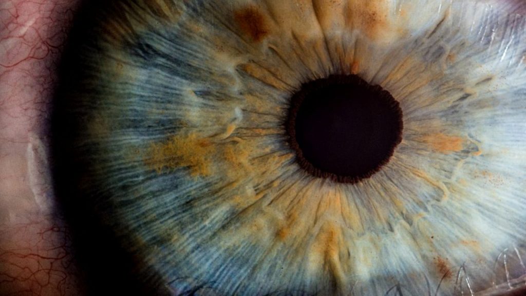 Un pacient orb şi-a redobândit parţial vederea prin terapie genică, o tehnică inovatoare