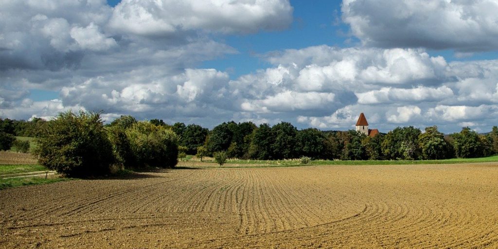 Miza uriașă a tranzacțiilor cu pământ: România riscă să piardă aproape tot terenul agricol. Cine și de ce cumpără?