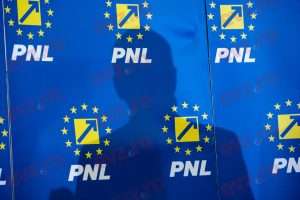 Înregistrare incredibilă din PNL: Dacă mă votați, vă angajez la stat. AUDIO