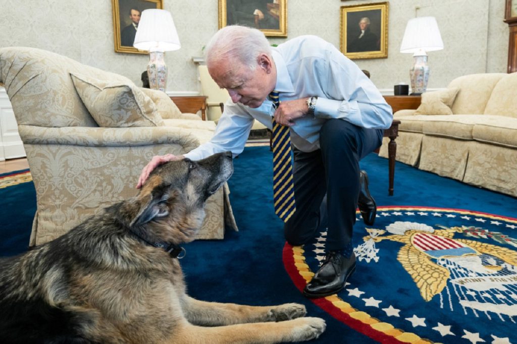 E doliu la Casa Albă. Champ, câinele lui Joe Biden, a murit. ”A fost cel mai bun băiat din Washington”