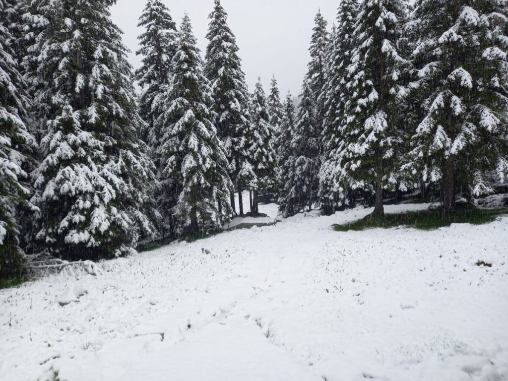 Salvamontiştii, în alertă. Zăpadă de 5-10 centimetri în Parâng şi Retezat, de 1 iunie. FOTO