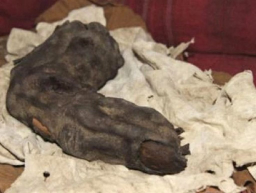 Au existat cu adevărat oamenii giganţi? Sunt locuitori antici ai Pământului? Ce ne arată documentele. FOTO