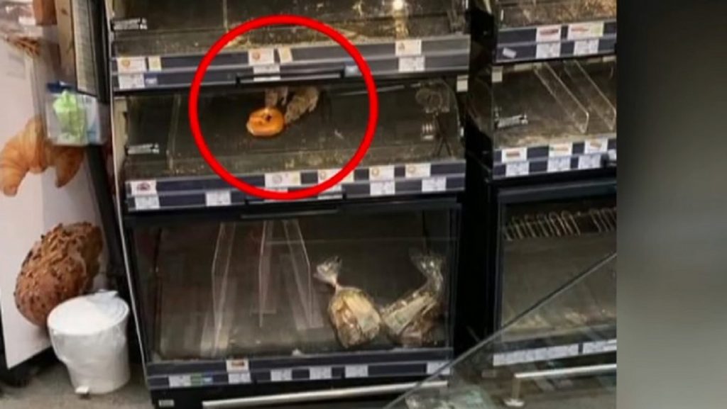 Supermarketul unde șobolanii mișunau prin rafturi a fost amendat. Controale în toată țara făcute de ANSVSA