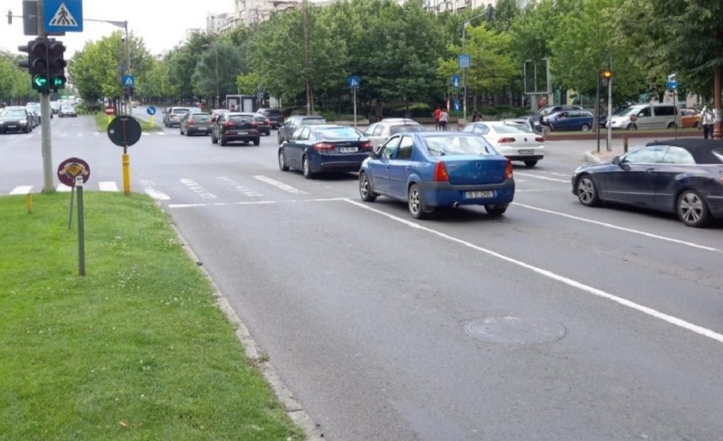 Şoferii din Bucureşti, afectaţi de şobolani. Reacţia autorităţilor: „Scuze.”