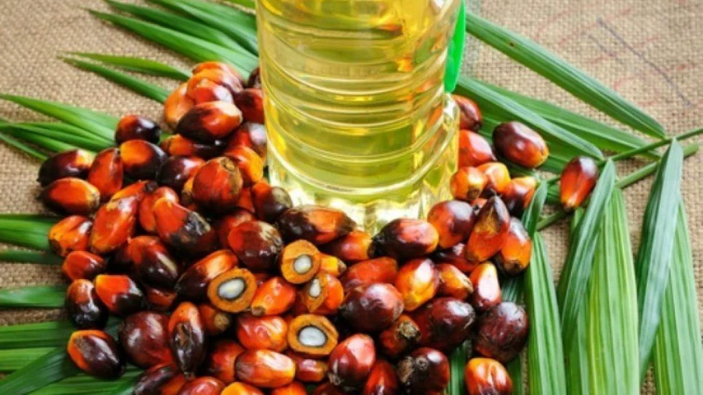 Uleiul de palmier. Cât de benefic e consumul pentru sănătate