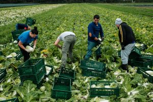 Germania are două milioane de locuri de muncă vacante. Ce posturi sunt disponibile în jumătate din companiile germane?