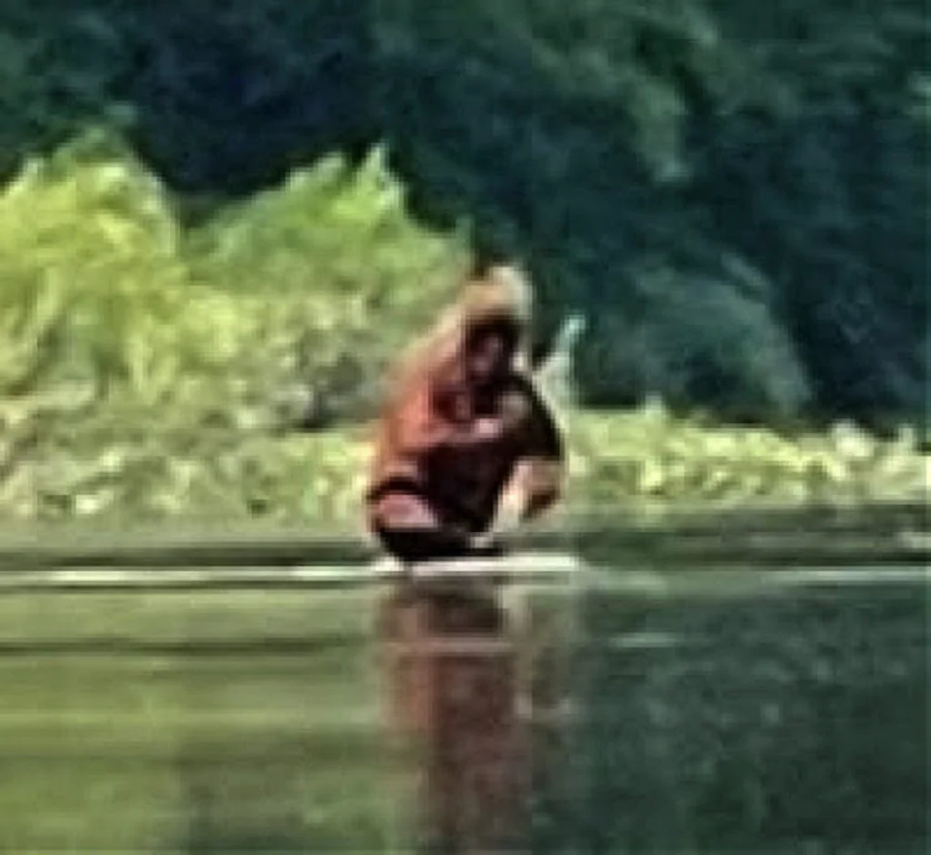 Bigfoot există! Senzaționalele imagini surprinse într-o pădure din Michigan au declanșat nebunia pe internet