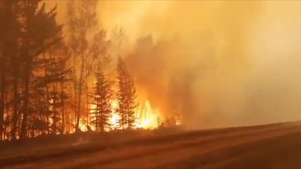 Siberia, în flăcări. Pompierii fac față cu dificultate incendiilor de pădure. Pericol pentru întreaga planetă. VIDEO