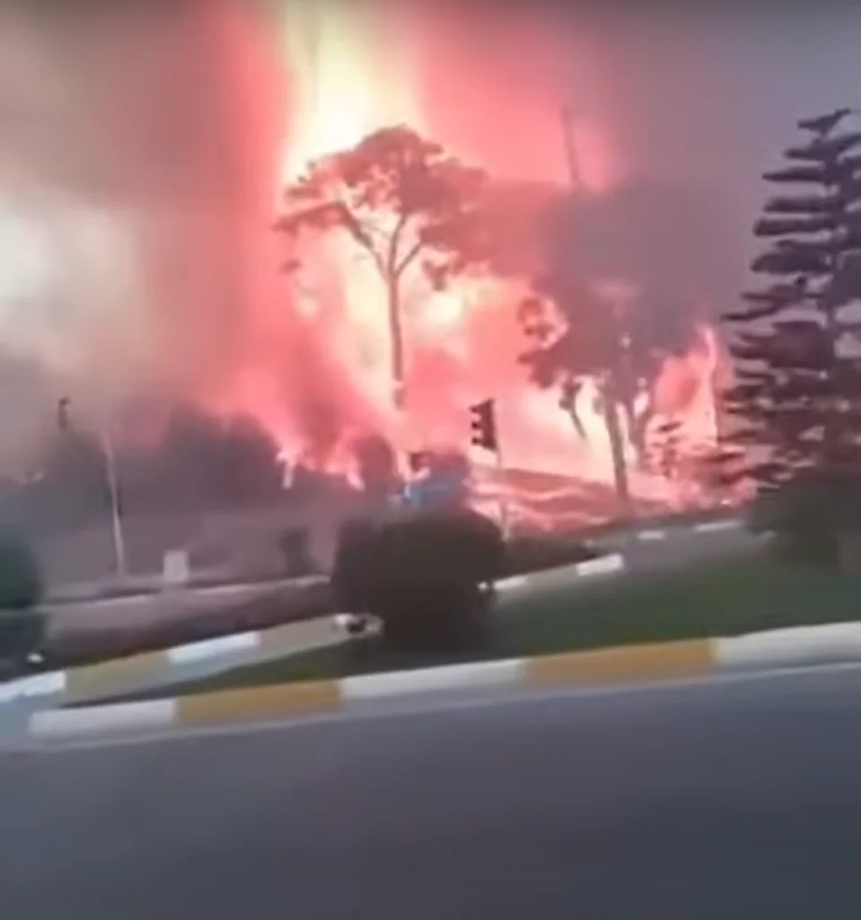 O stațiunea din Turcia s-a transformat în iad. Incendiile uriașe de vegetație au colorat cerul în portocaliu