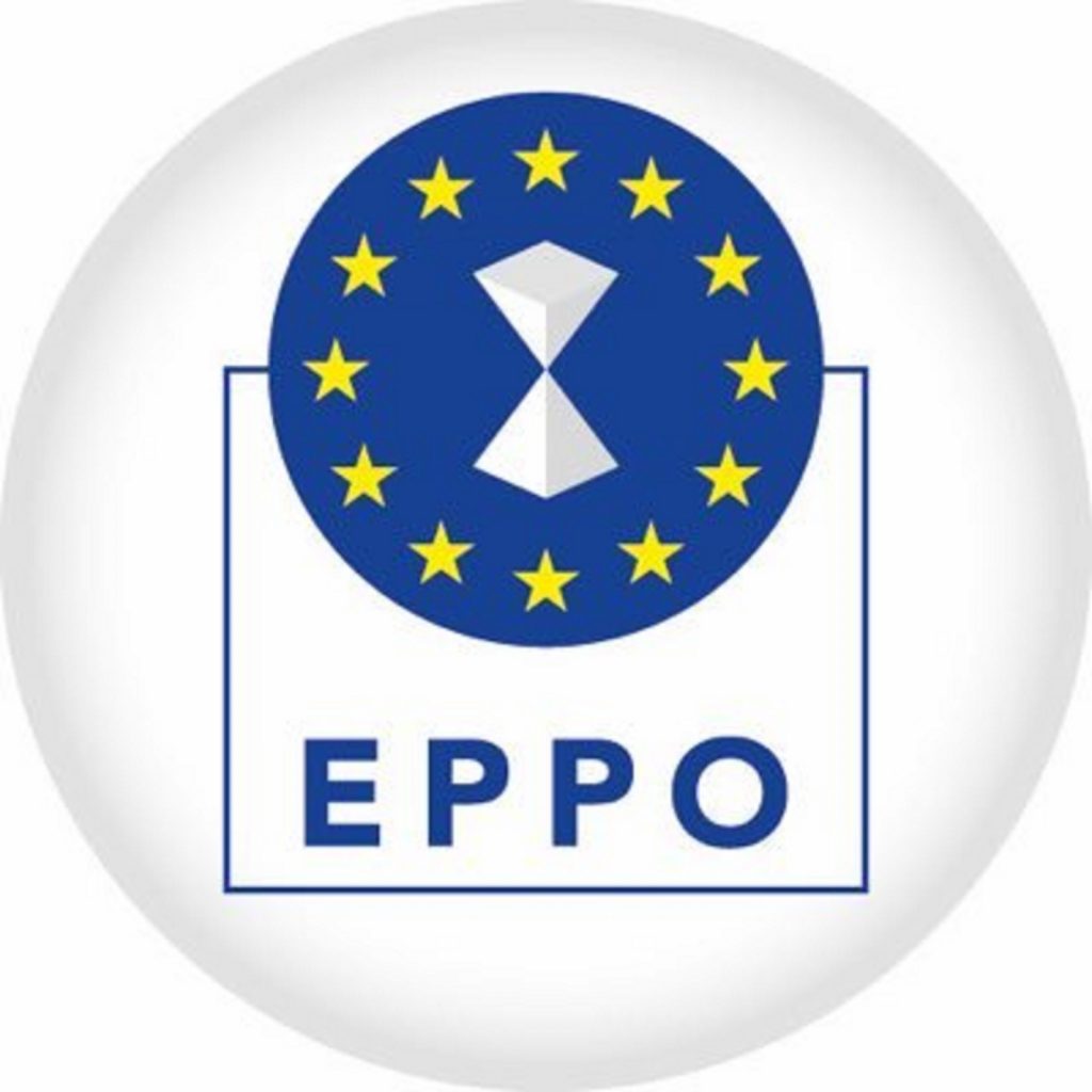 Parchetul European (EPPO): Consiliul numește doi procurori europeni