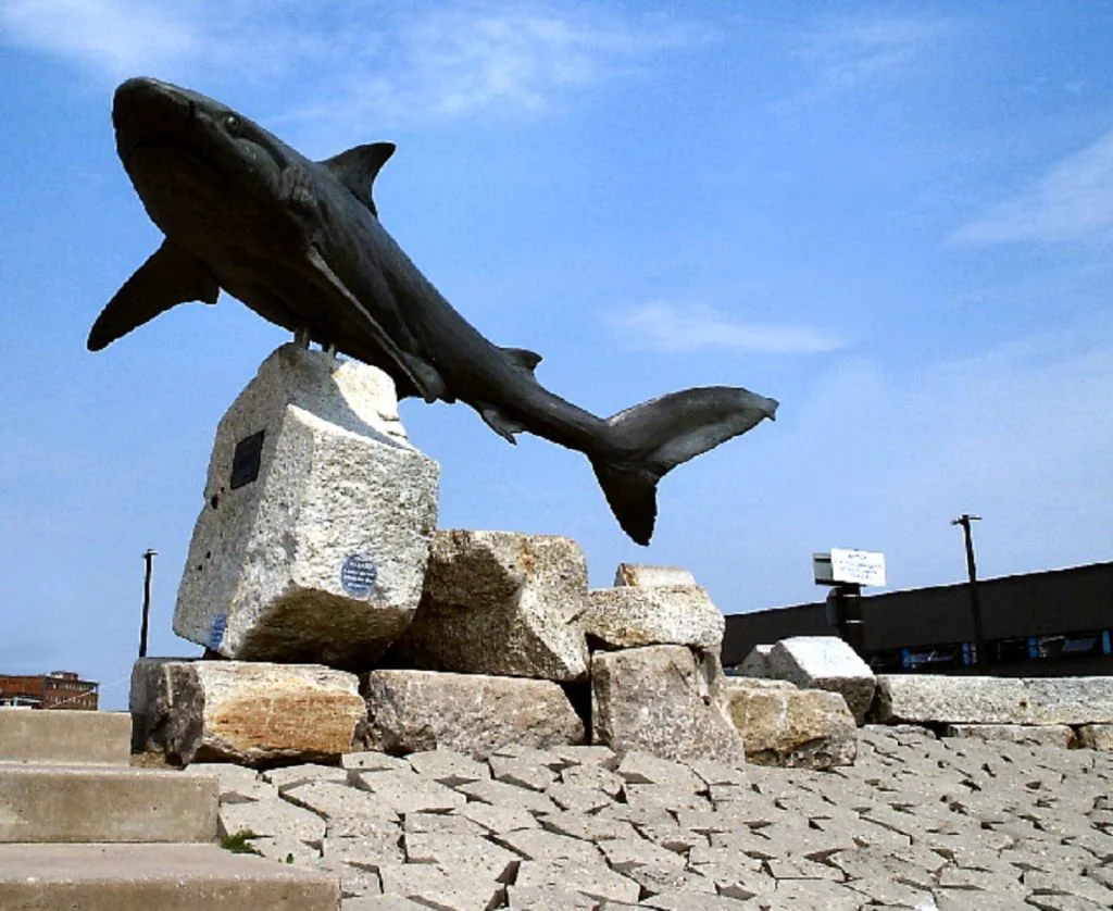 Atacul unui rechin face ocolul lumii. Au fost scene crunte în Marea Roşie. Video