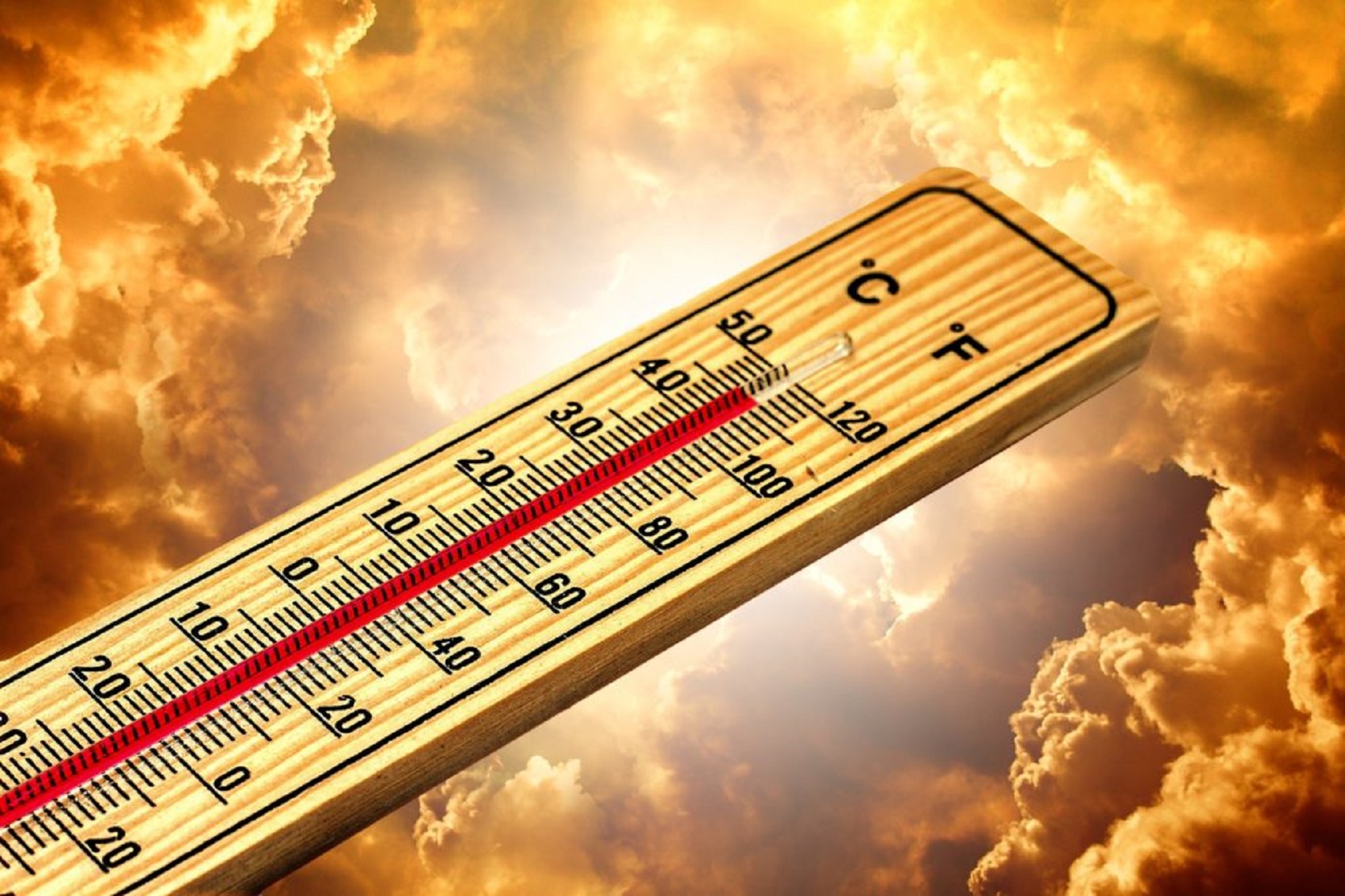Organizația Mondială de Meteorologie face cel mai înfiorător anunț: Ne apropiem de cel mai călduros an din istorie