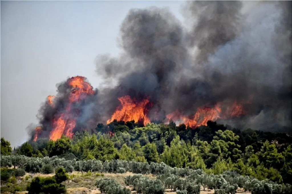Imagini impresionate cu insula Evia înainte și după incendii. FOTO