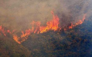 Piromani reținuți în Grecia. Incendii tot mai puternicie lângă Atena