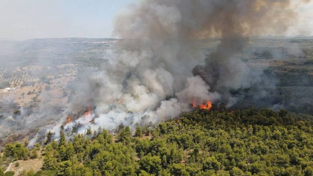 Grecia nu scapă de incendiile de vegetație. Perioadă de coșamr abia a început