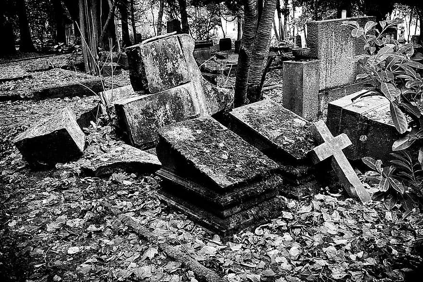 Фото старых могил. Кладбище. Старые кладбища. Кладбище черно белое. Древнее кладбище.