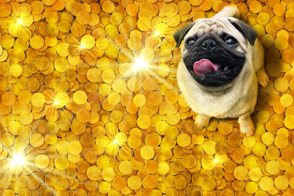 Cele mai ciudate povești de îmbogățire – Câinele cu o avere 12 milioane de lire sterline