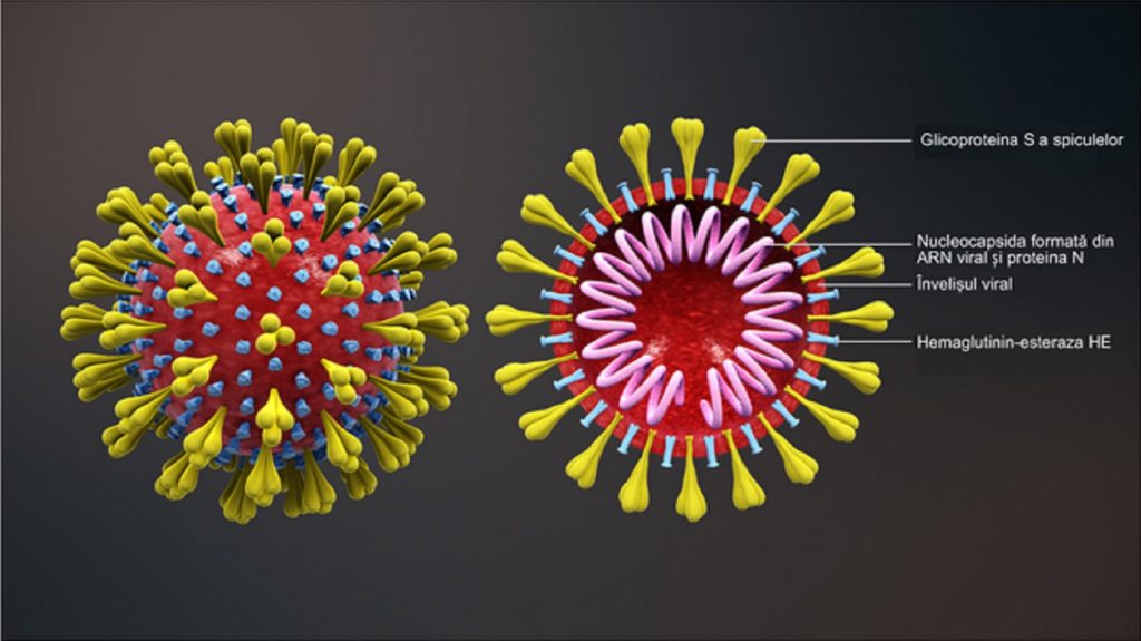 Bilanț coronavirus, 21 mai. Câte zeci de persoane s-au reinfectat în ultimele 24 de ore