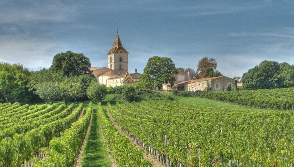 Producția de vin a Franței se prăbușește. Ce a provocat dezastrul