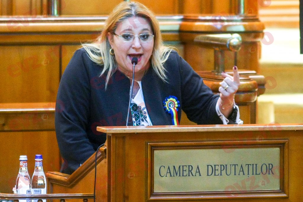 Scene de criză în Parlament: „V-ați pus cu mine, o să vă ia dracu!”. Diana Șoșoacă s-a dezlănțuit împotriva coaliției „FSN”