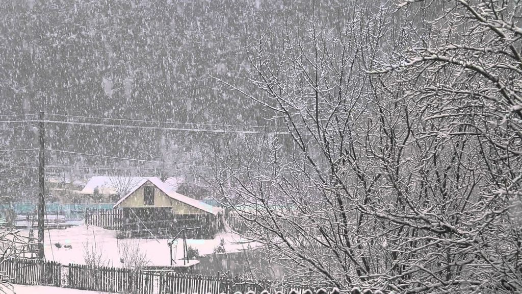 A început să ningă în mai multe zone din țară. Stratul de zăpadă a ajuns la trei centimetri. Video