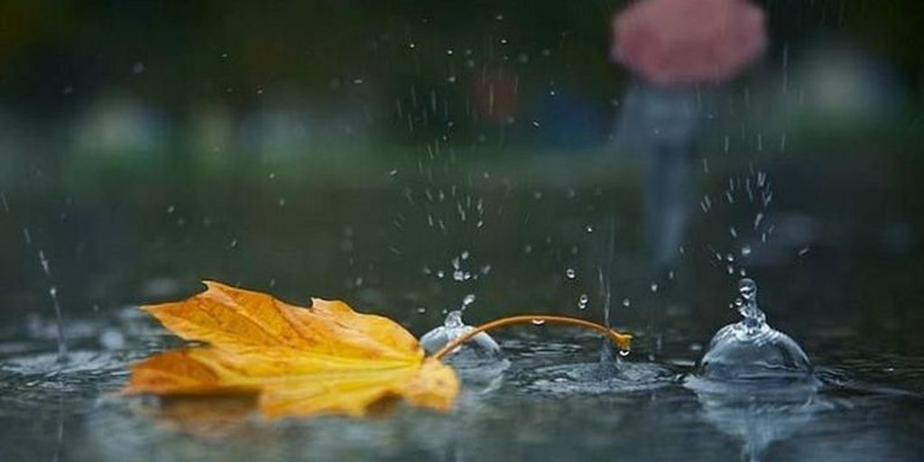 Prognoza meteo luni, 29 noiembrie! Începutul de săptămână vine cu ploi în mai toate regiunile