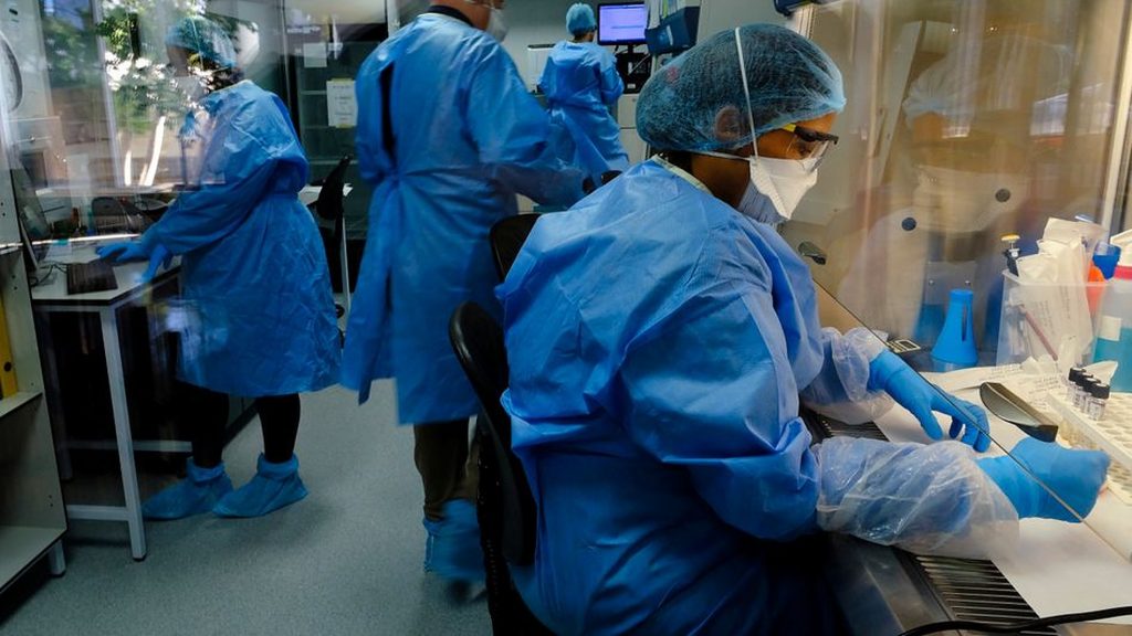 Premieră medicală! Un bărbat a suferit un transplant de inimă de la un porc modificat genetic