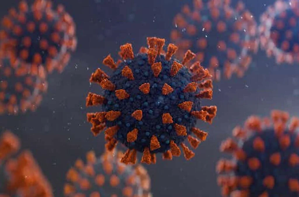 Pandemia de Covid-19 din China n-a fost ultima… Încă un virus a trecut de la animale la oameni