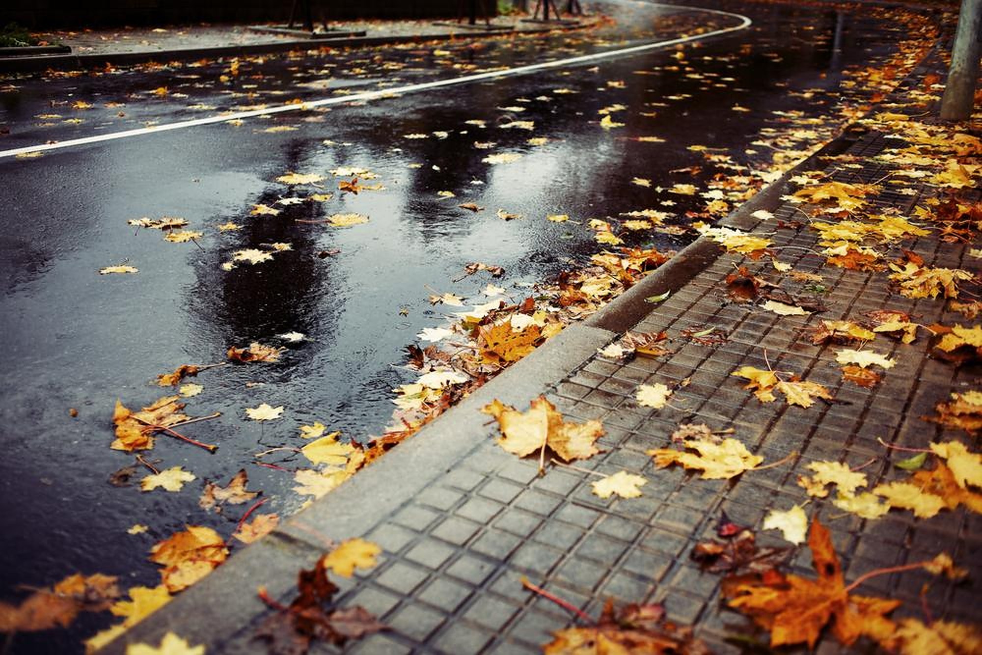 Дождь по улице идет мокрая дорога