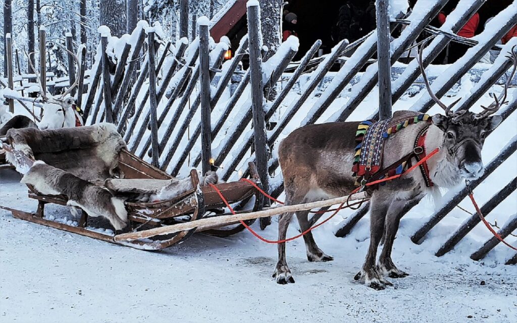 Țara lui Moș Crăciun e în pericol. ”Proiecte mărețe” acaparează Laponia. Renii, sacrificați pentru a face loc eolienelor
