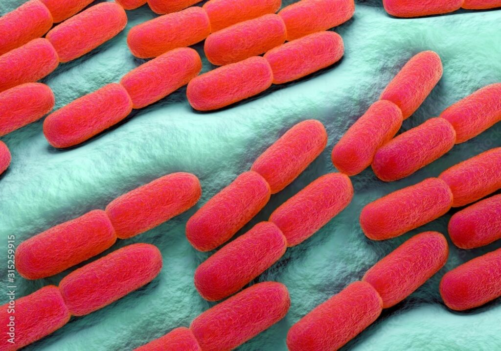 Tulpini ale unei bacterii „super-puternice” ar putea provoca următoarea pandemie mortală! Bacteriile rezistă la antibiotice