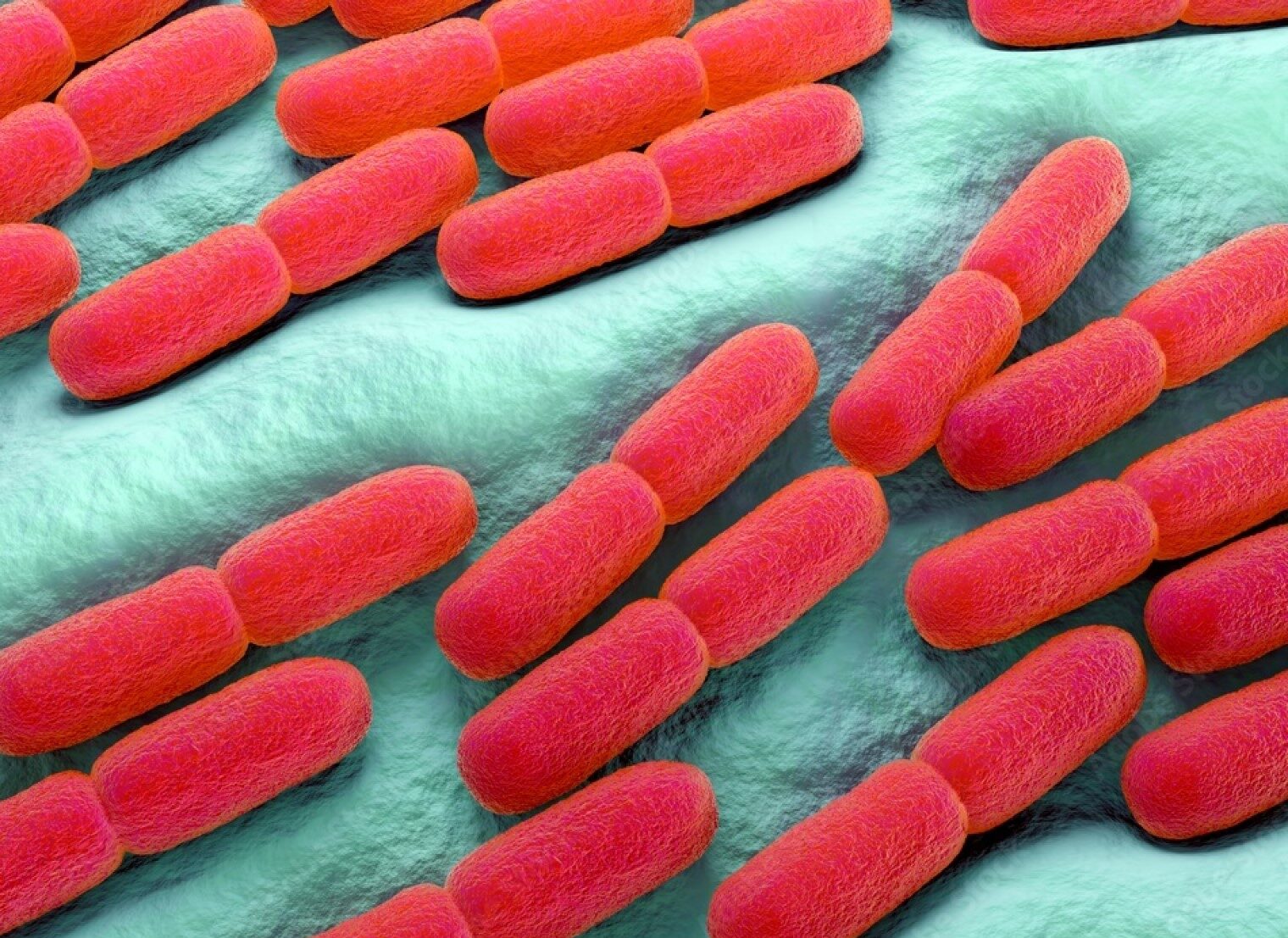 Rafila: Până în 2050, bacteriile multirezistente vor fi prima cauză de deces în lume