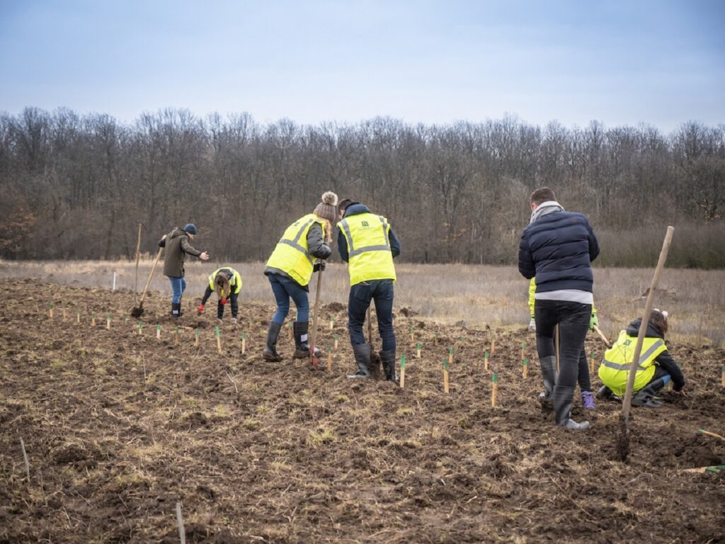 Copiii și voluntarii, împreună pentru un mediu mai curat. 3.000 de puieți au fost plantați în comuna Ciulnița pentru a îmbunătăți calitatea aerului