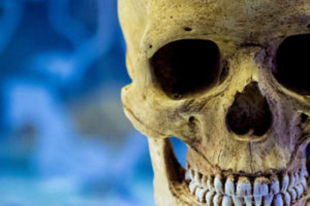 Un craniu descoperit în China rescrie istoria Homo sapiens