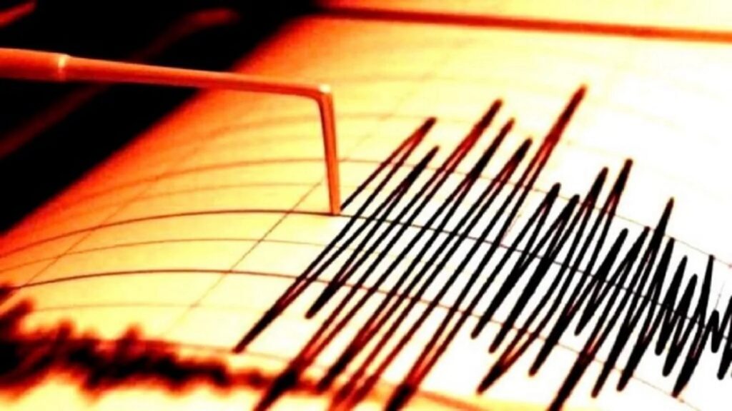 Cutremur important petrecut în România, miercuri spre joi noaptea. Ce magnitudine a avut mișcarea seismică din puterea nopții