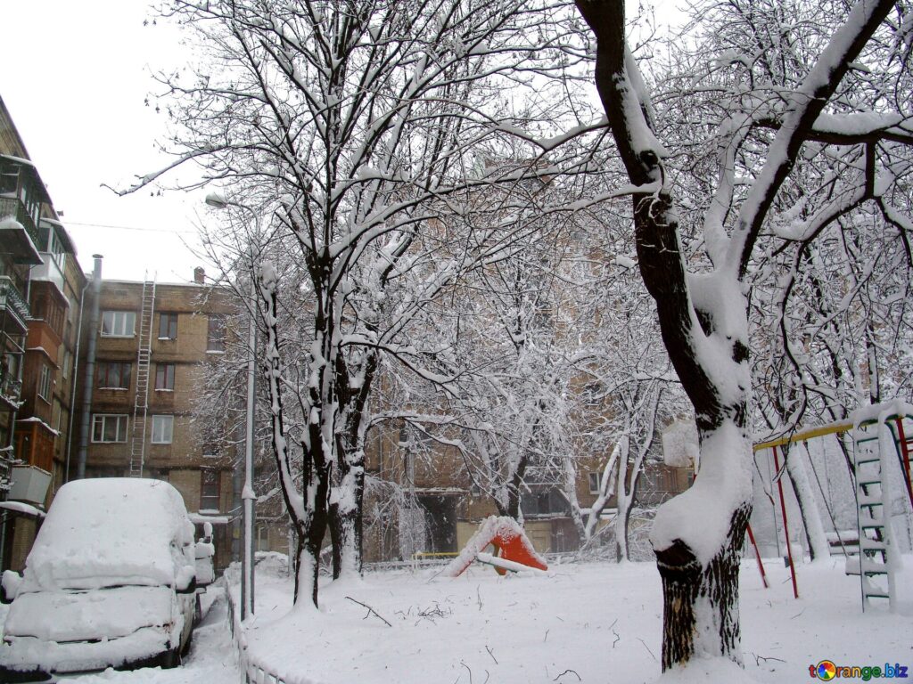 De ce nu mai ninge ca acum 20 de ani în România? O mare specialistă a dezvăluit adevărul